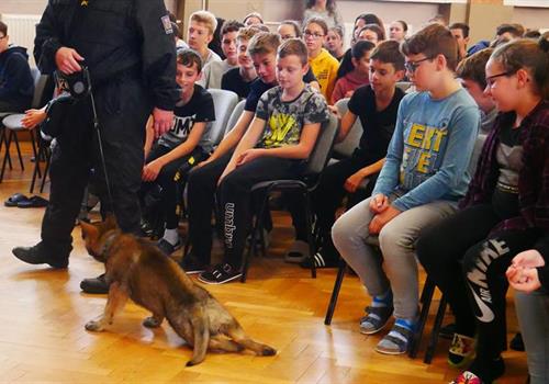 UKÁZKA POLICEJNÍ KYNOLOGIE